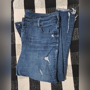 Lane Bryant Skinny Jeans